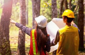 rear-view-man-woman-working-with-blueprint-while-standing-against-trees-forest_1048944-28451409