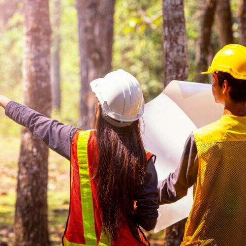 rear-view-man-woman-working-with-blueprint-while-standing-against-trees-forest_1048944-28451409